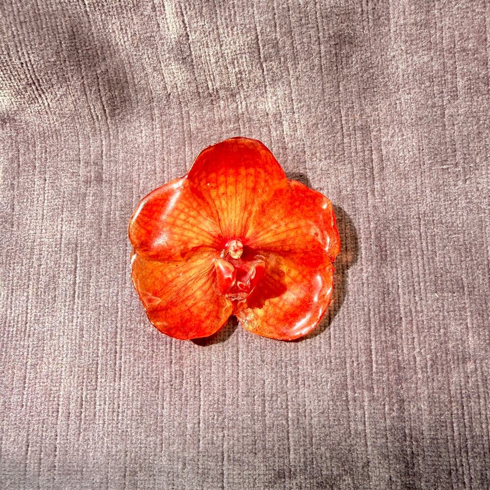 Hanami Jewelry Real Orchid Hairclip